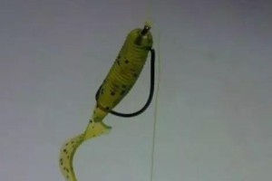 探秘路亚钓鱼（钓鱼达人教你如何运用路亚钓法提升钓鱼效果）