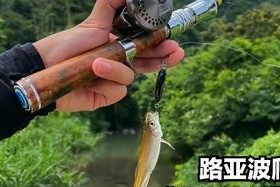 浅析路亚钓鱼钓到大鱼容易断线的原因（探究路亚钓鱼中线材的关键因素）