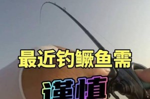 新手路亚手竿钓鱼指南（掌握关键技巧，快速成为路亚高手）
