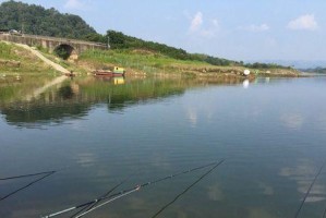路亚技巧助你在长寿湖钓鱼大获成功（探索长寿湖的路亚钓鱼之道，走向丰收之路）