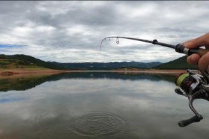 新手钓鱼（初学者该如何选择钓鱼方式）