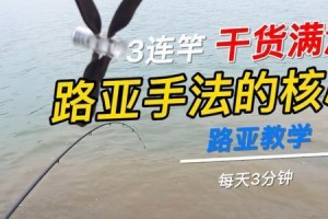 路亚钓鱼法（探讨路亚钓鱼法的利与弊，为你的钓鱼之旅提供参考）