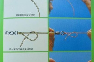 以路亚钓鱼主线和子线搭配指南（提升你的路亚钓鱼技巧，选择合适的主线和子线组合）