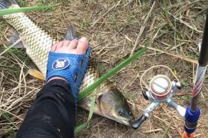 以路亚竿在清水里钓鱼好用吗？（清水中的路亚钓法探讨）