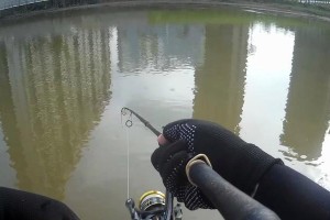 河道用路亚，让钓鱼变得更好玩（探索河道钓鱼新方式，用路亚装备尽情垂钓）