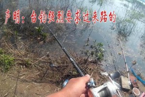 路亚钓鱼与台钓，何者更快捷有效？（以效率为导向，选择合适的钓法）