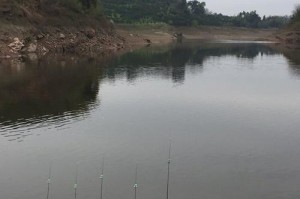 长寿湖路亚钓鱼农家乐——自然与乐趣的完美结合（探索长寿湖畔的路亚钓鱼之旅，体验田园农家乐的美妙）