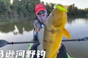 亚马逊钓鱼之路亚竿的奇效（揭秘亚马逊河钓鱼利器，路亚竿的魅力）