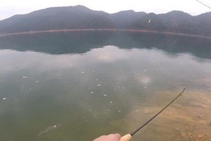 探讨以路亚钓鱼的窝钓技巧（窝钓技巧在以路亚钓鱼中的应用）