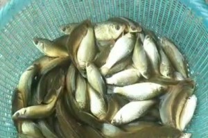 南康区小坑路亚钓鱼点——钓鱼爱好者的天堂（探索南康区小坑路亚钓鱼点的魅力与乐趣）