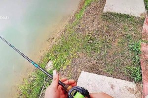 探究黑坑为何不适合使用路亚竿钓鱼（黑坑特殊环境对路亚竿使用的制约因素及解决方法）