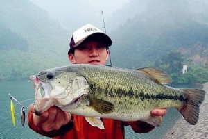 浅水池路亚钓鱼技巧大揭秘（钓友必读！轻松掌握以浅水池钓鱼的窍门）