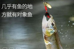 深入探究以路亚钓鱼的钓组技巧（从基本钓组到高级技巧，了解以路亚钓鱼中的关键钓组配置）