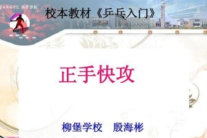 乒乓球初学教材（打造完美击球技巧，从零开始的练习法）