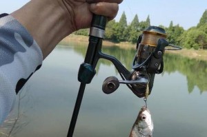 8岁小孩使用路亚钓鱼是否合适？（路亚钓鱼对8岁小孩的影响和适用性分析）