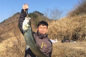 汝阳县玉马水库路亚钓鱼指南（探索汝阳县玉马水库，享受路亚钓鱼的乐趣）