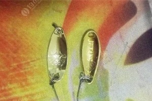 挂玉米加路亚亮片，捕鱼利器大揭秘！（路亚亮片与玉米的完美结合，轻松钓到大鱼！）