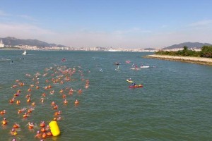 水域游泳技巧大揭秘（掌握游泳技巧，畅享水域乐趣）