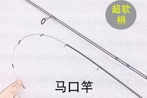 探索路亚直柄竿调钓鱼的技巧和乐趣（通过使用路亚直柄竿，提升你的钓鱼技能和经验）