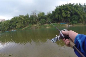 探讨以台钓的终极是路亚还是钓鱼（寻找最适合台钓的钓鱼技巧与装备）