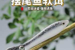 泥鳅路亚假饵钓鱼的技巧与心得（挑战鱼类智慧，提升垂钓技术）