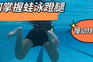 儿童游泳技巧分解动作（助力儿童掌握游泳技巧的关键点）