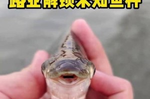 路亚钓鱼鱼的嘴巴会疼吗？（研究表明路亚钓鱼对鱼嘴的影响与钓鱼技术息息相关）