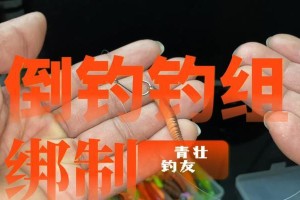掌握路亚钓鱼的操作技巧，成为高手（技巧、手法、）