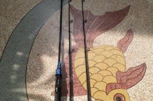 临港世纪塘路水闸（探索水闸钓鱼的新奇体验，亲近自然乐享渔获乐趣）