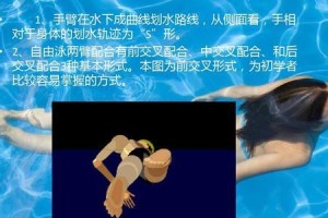 五公里游泳技巧（突破游泳极限的方法与策略）