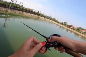 探秘路亚钓鱼的技巧与乐趣（以路亚为主的现代钓鱼方式，让你感受不一样的捕鱼乐趣）
