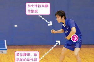 乒乓球反手直拍的技巧与方法（提高反手直拍水平的关键要点）