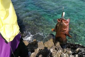 路亚海钓的便捷之处（钓鱼爱好者首选的海洋垂钓方式）