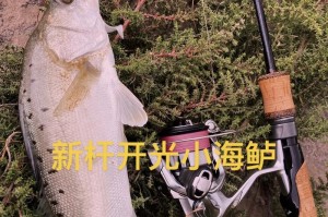 钓鱼新手如何选择和装备路亚杆？（路亚杆的选择与装备要点解析）