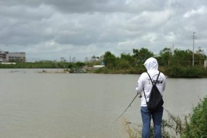 以喀纳斯湖能否进行路亚钓鱼（探讨喀纳斯湖的水域条件与鱼类资源，以及路亚钓法的适用性）