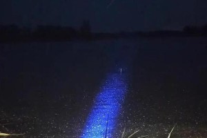 雨后夜钓路亚钓鱼的乐趣（探秘雨后夜钓路亚钓鱼的好处与技巧）