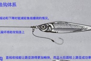 如何选择适合路亚钓鱼的最佳线材粗细？（探索最佳线材粗细，提升路亚钓鱼效果）