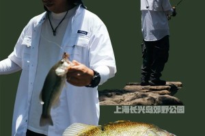 选择适合钓鱼塘的路亚竿，尽享垂钓乐趣（专业指南帮你找到最佳装备）