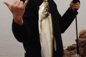 男士路亚钓鱼生日蛋糕（特色创意蛋糕，点亮男性生日的独特味蕾体验）