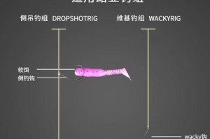 海边钓鱼路亚技巧揭秘（掌握钓鱼路亚的正确绑钩方法，提升钓鱼成功率）
