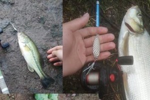 北方雾天路亚钓鱼的技巧与经验（探索北方雾天钓鱼的无限可能——挑战困难，收获满满）