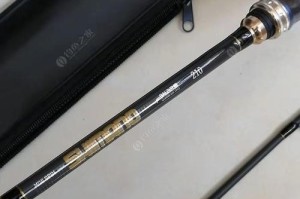探索路亚竿的鱼类诱捕优势（为什么选择路亚竿？技巧、鱼种选择和装备要求一网打尽！）