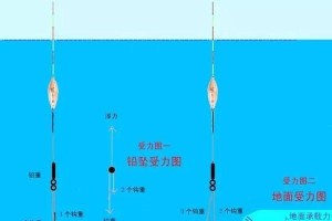 浮漂钓鱼的技巧与路亚水滴轮的装配方法（掌握装配技巧，提升钓鱼效果）