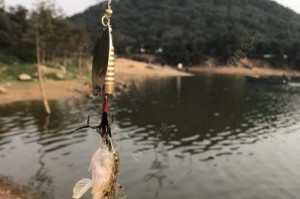 晚上甩路亚钓鱼的技巧与经验（探索夜间路亚钓鱼的乐趣与成果）
