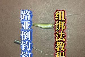 重拾路亚钓鱼信心的方法（克服困惑，重新投入路亚钓鱼的乐趣）