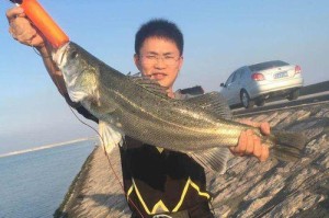 探寻路亚钓鱼的上瘾之谜（为什么越来越多的人迷上了这项运动？）