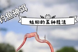 路亚竿能否装蚯蚓钓鱼？（探究路亚竿是否适合蚯蚓作为鱼饵的钓鱼方式）