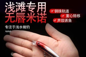 探秘海边路亚钓鱼技巧（以路亚新手为主的海边钓鱼方法与技巧）