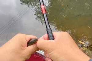 探讨路亚与手竿，钓鱼快与否的关系（路亚和手竿哪个更适合快速钓鱼？）