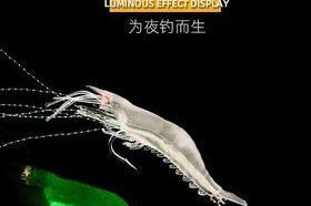 用虾打路亚钓鱼饵的技巧与方法（从选材到使用，让你成为专业的路亚钓鱼者）